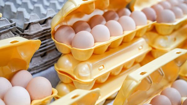 ФАС напомнила продавцам куриных яиц о запрете на необоснованное повышение цен