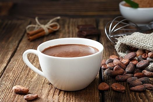 Ученые обнаружили в какао вещество, спасающее от ожирения и болезни Альцгеймера