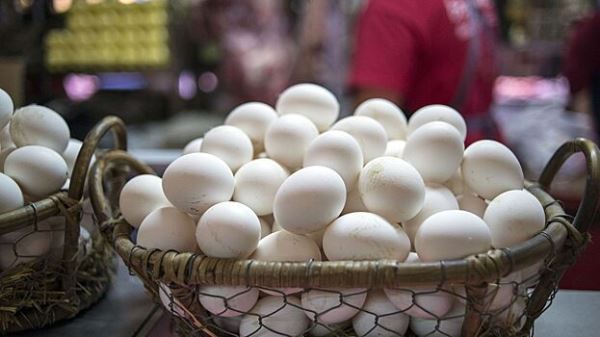 Опасность на Пасху: Диетолог Морозова предупреждает о рисках употребления яиц