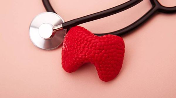 От «кома в горле» до потливости: какие симптомы выдают проблемы с щитовидной железой